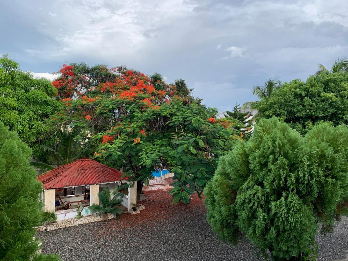 Villa Marcia Boca Chica Εξωτερικό φωτογραφία