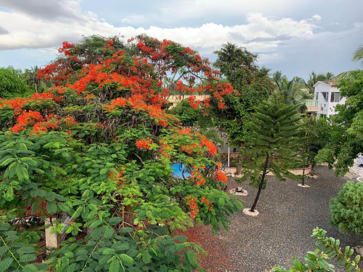 Villa Marcia Boca Chica Εξωτερικό φωτογραφία